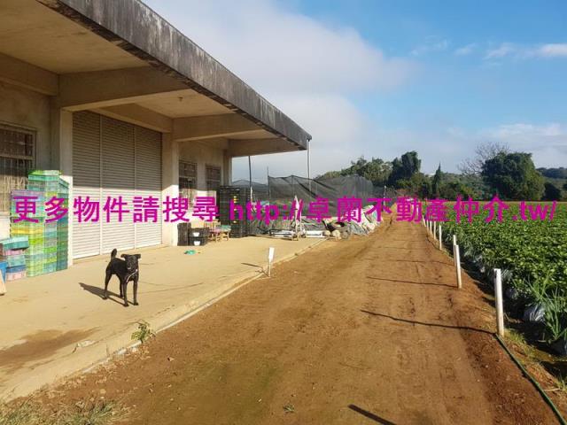 苗栗農地-8