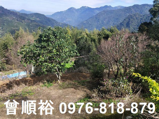 新竹農地-8