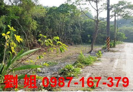 高雄仁武農地-2