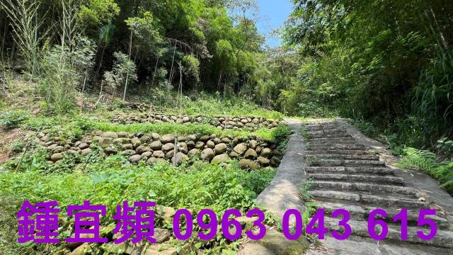 新竹農地_山坡地_林地-11