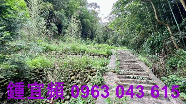 新竹農地_山坡地_林地-12