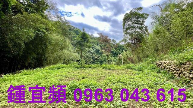 新竹農地_山坡地_林地-13