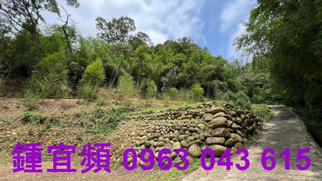 新竹農地_山坡地_林地-14