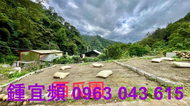 新竹農地_山坡地_林地-2