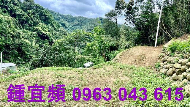 新竹農地_山坡地_林地-5