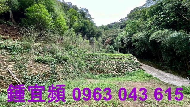 新竹農地_山坡地_林地-6