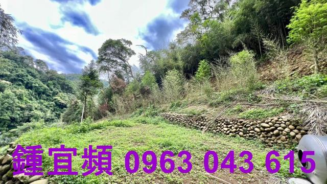 新竹農地_山坡地_林地-8
