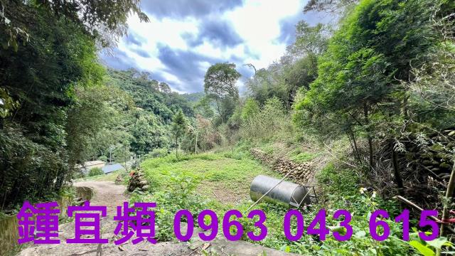 新竹農地_山坡地_林地-9