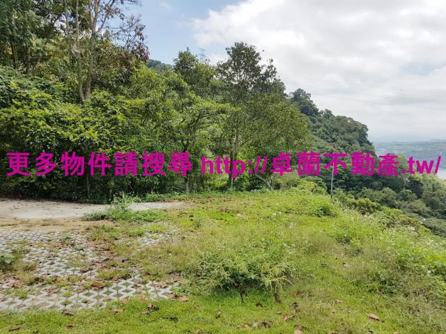 苗栗大湖農地-6