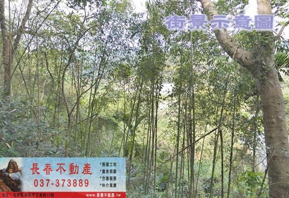 8K319獅潭和興農地