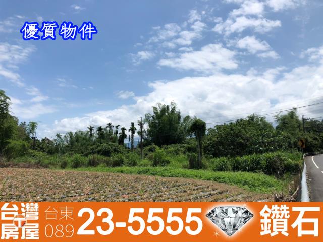 台東鹿野農地_建地_農建地-12