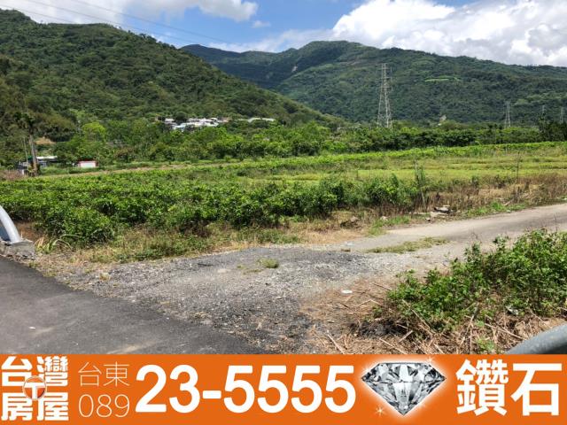 台東鹿野農地_建地_農建地-10