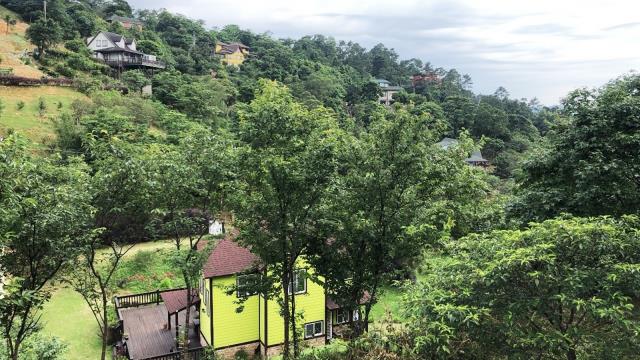 新竹關西農地-9