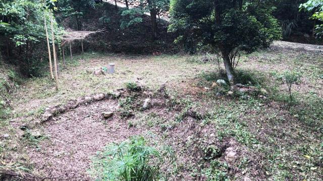 新竹關西農地-3