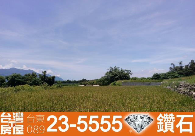 台東鹿野農地-12