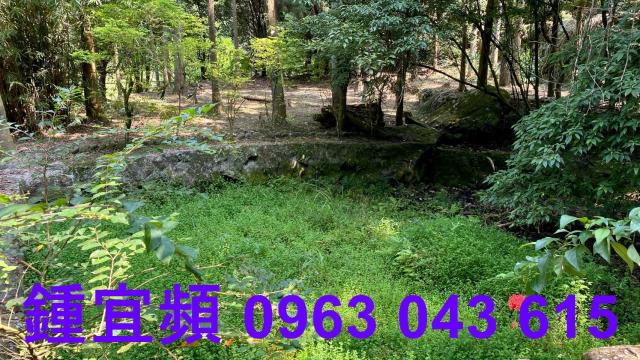 苗栗南庄農地-13