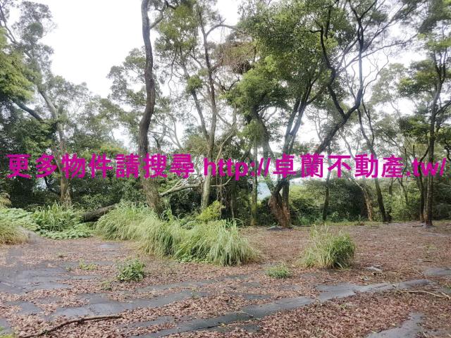 苗栗卓蘭農地-8