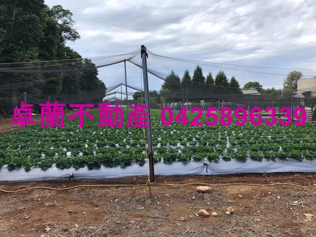 苗栗卓蘭農地-6
