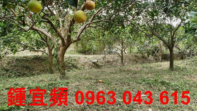 新竹芎林農地_山坡地-10