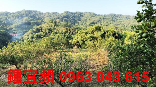 新竹芎林農地_山坡地-4