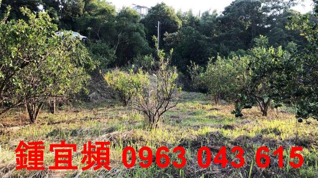 新竹芎林農地_山坡地-5