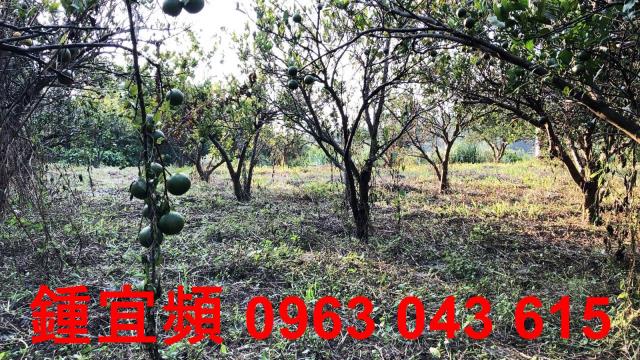 新竹芎林農地_山坡地-7