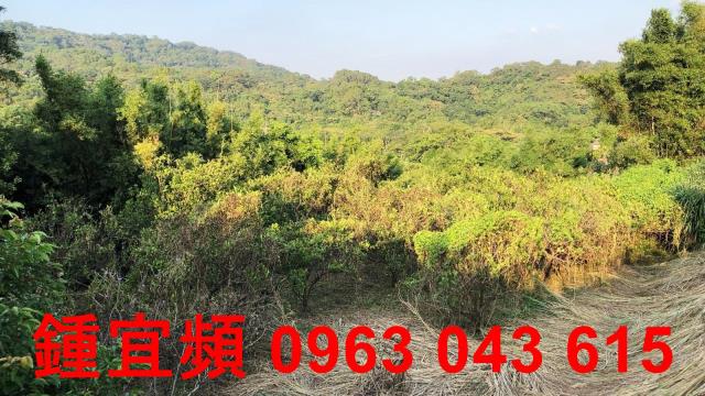 新竹芎林農地_山坡地-8