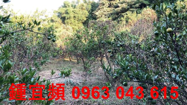 新竹芎林農地_山坡地-9