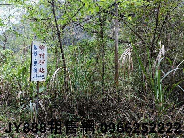 苗栗農地_林地-8