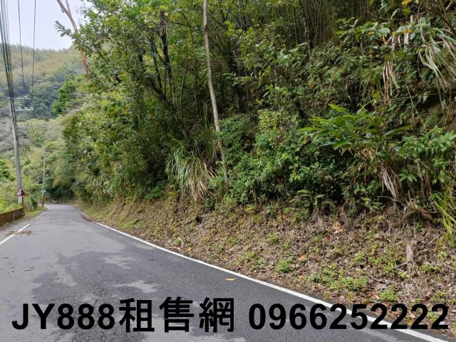 苗栗農地_林地-10