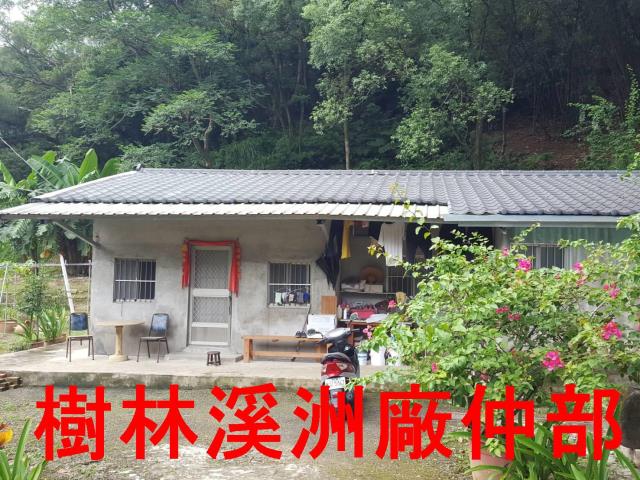 樹林農地-1