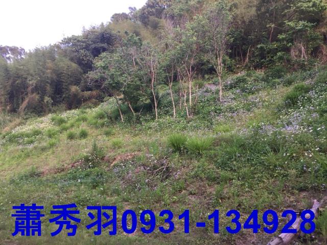 后里農建地-3