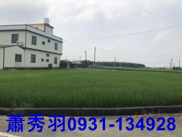 苗栗苑裡農地-1