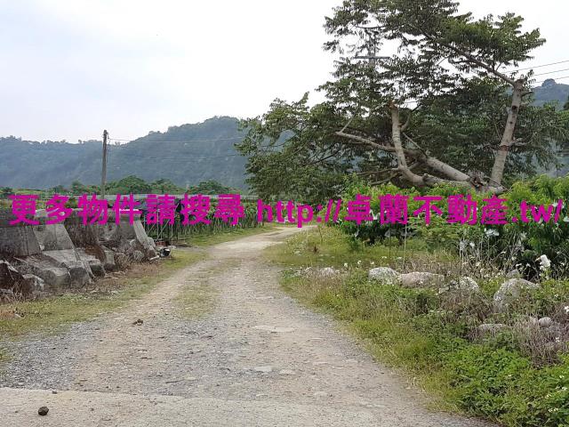 苗栗卓蘭農地-11
