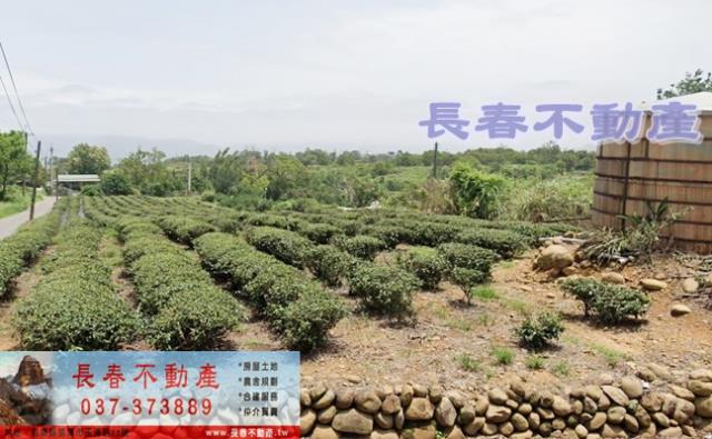 苗栗市山坡地-0
