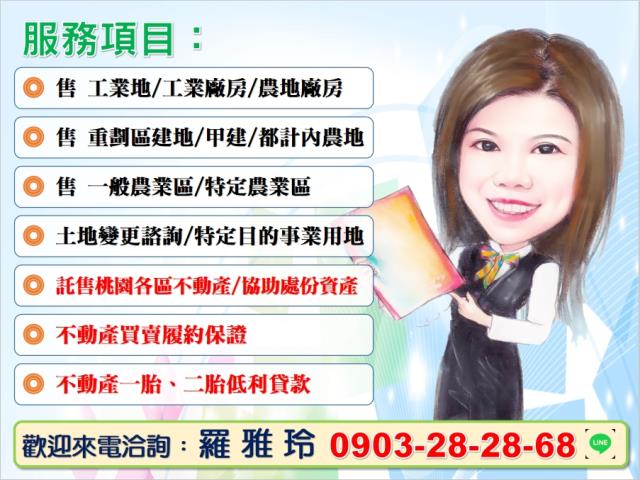 桃園大園農地-4