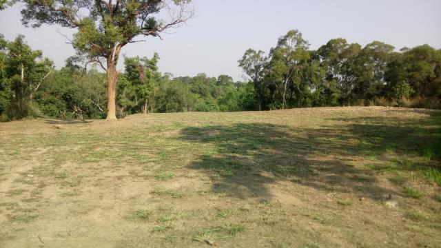 彰化彰化市農地-1