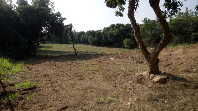 彰化彰化市農地-2