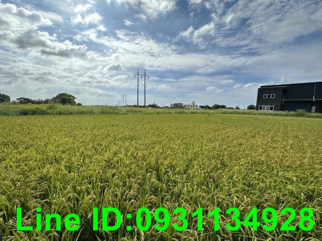台中外埔農建地-1