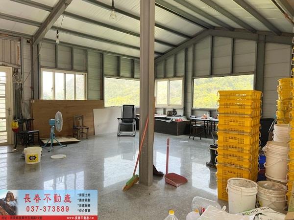獅潭山坡地-7