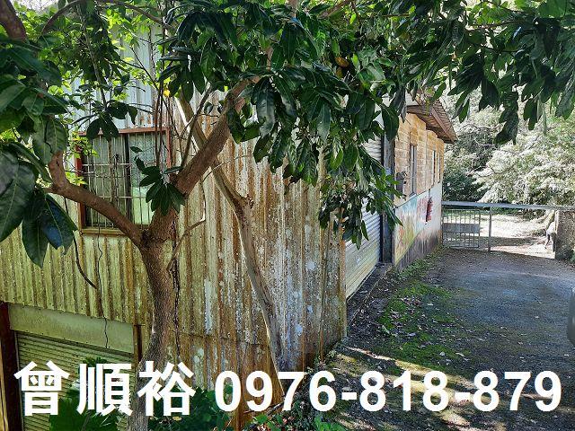竹東農地-15