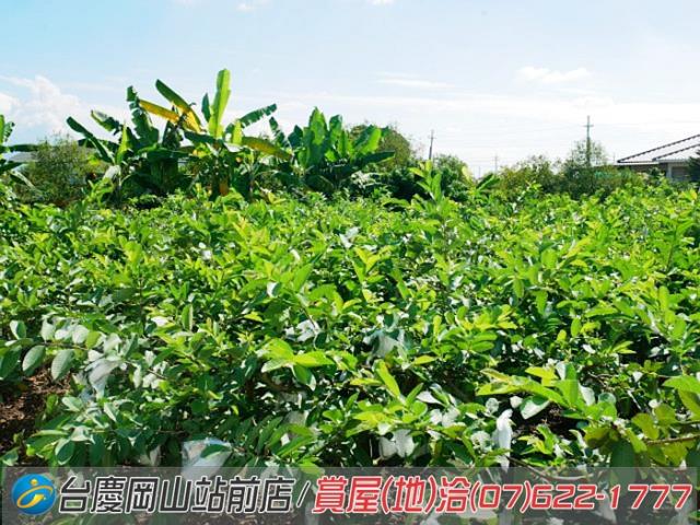 高雄美濃農地-2