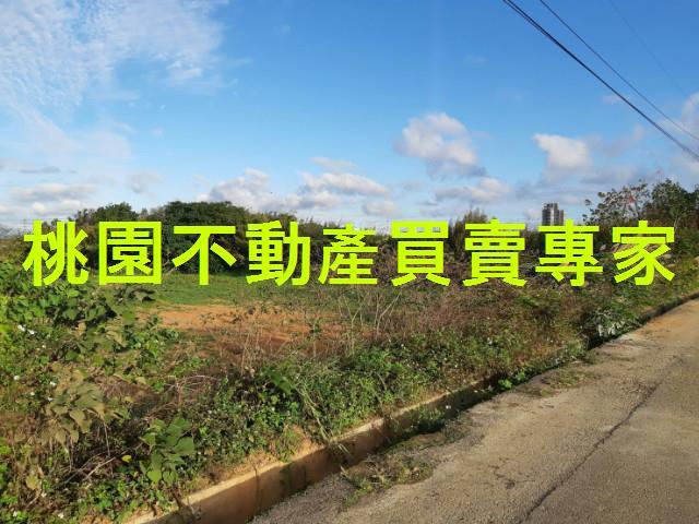 桃園觀音新屋農地 House Info房屋資訊網