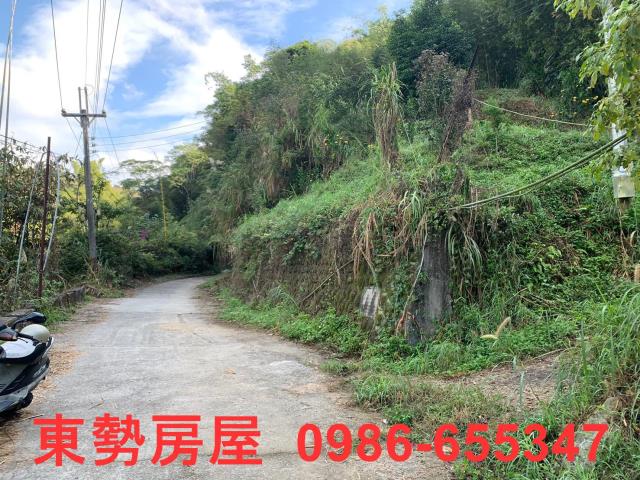 東勢農地-6