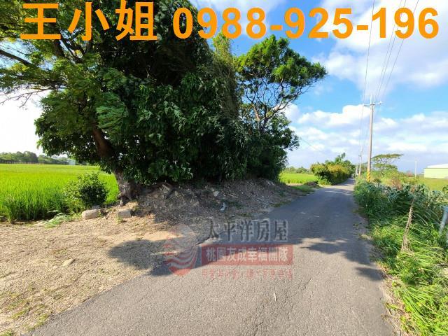 桃園農地-3
