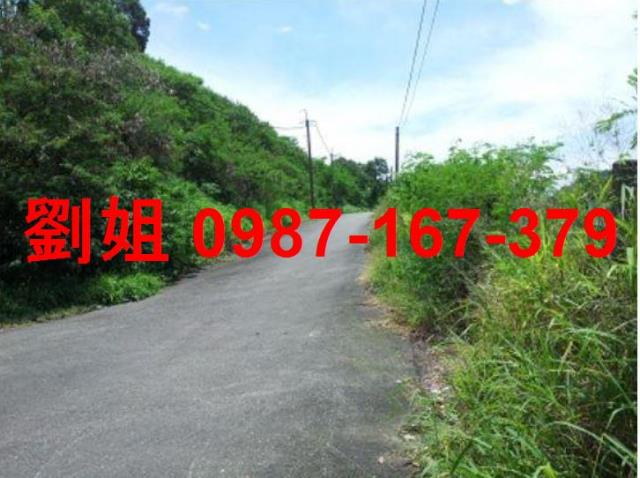 高雄燕巢農地-4