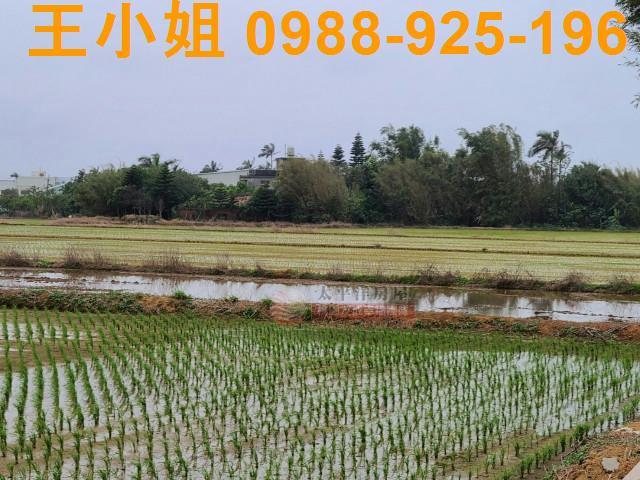 桃園農地-3