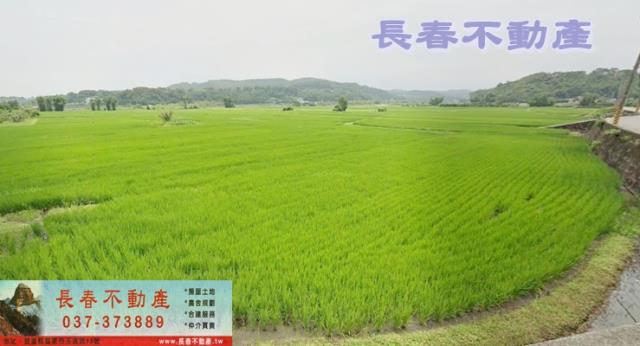 8F533四湖農牧用地