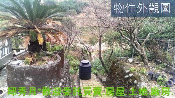 三芝農地-12