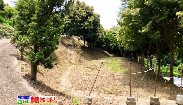 新竹新埔農地-9